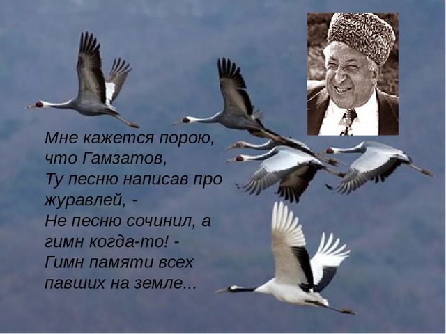 Кракен современный маркетплейс